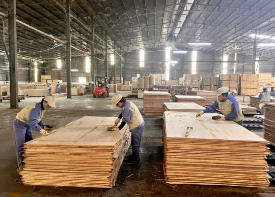 Cung cấp ván ép phủ phim Tây Ninh